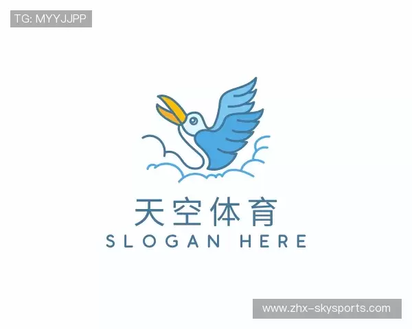 解读天空体育